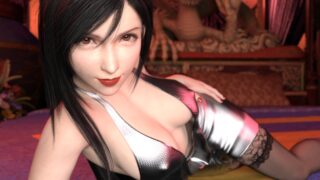 用户指南 (user's guide)