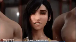 最终幻想精品同人长篇有剧情有对话中文字幕版合集１５部 [视频：１５V+１２G]【百度】